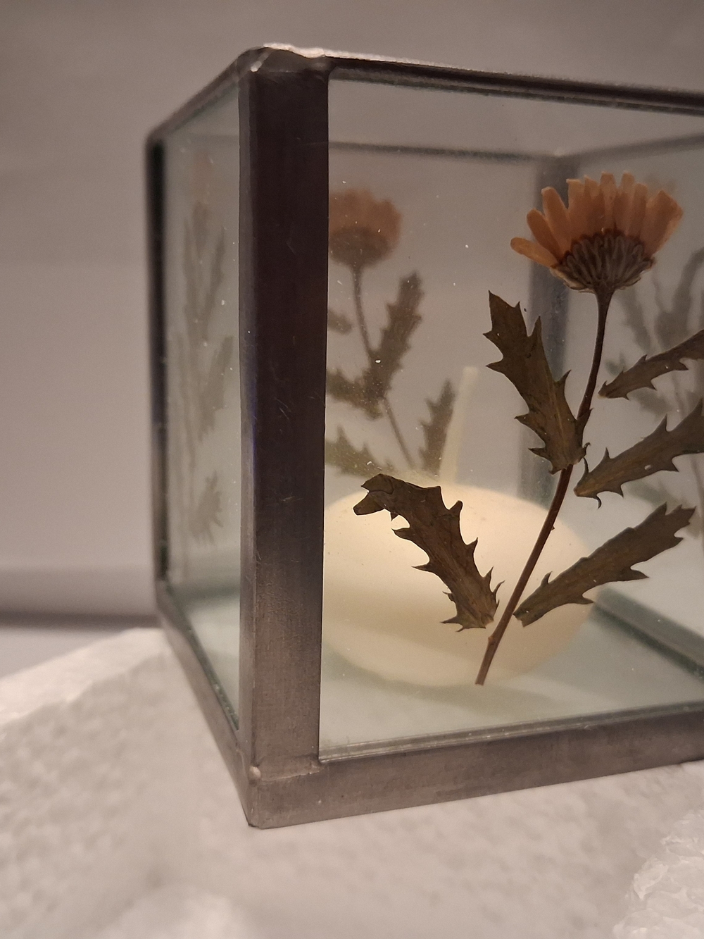 Carr Frames Atrium-Daisies Tealight (1 Tealight Candle Included)